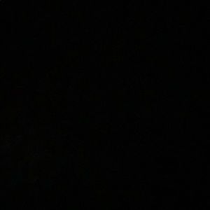 Meet your Posher, Amiya